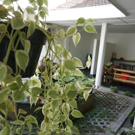 Ndalem Mbak Charly Hotel Pakualaman Buitenkant foto